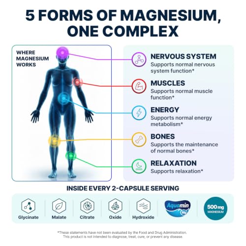 Spectrum 5 Magnesium | 5-in-1 Magnesium Complex - Image 2