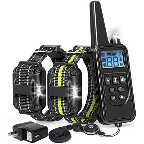 shock collar for jumping up