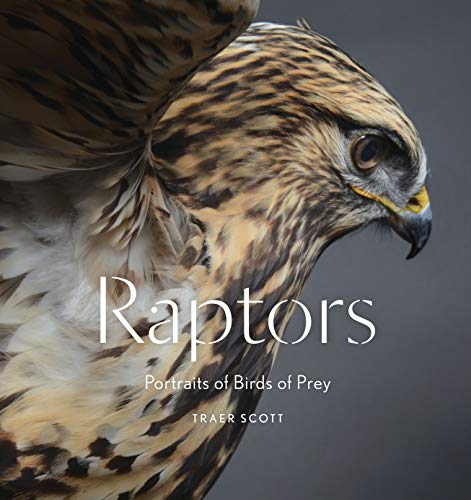 Télécharger Raptors livre En ligne