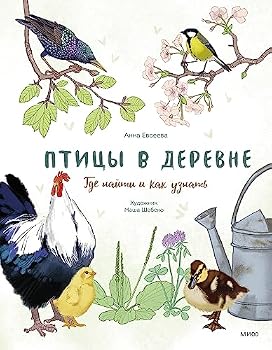 Pticy v derevne. Gde najti i kak uznat