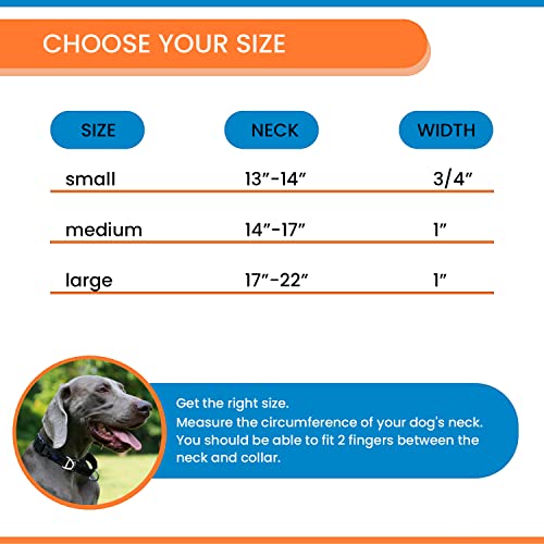 Iunpvet Martingale Dog Collar,Reflective Adjustable No-Pull Nylon Safety Training Collar For Small Medium Large Dogs (13-14" Neck X 3/4" Wide) #TOP3