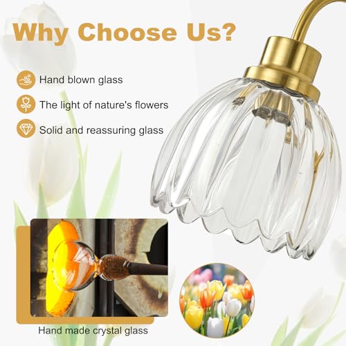 Image of Bathroom Light Fixtures (3-Light, 20 Inch), Brushed Gold Vanity Lights for Bathroom with Ribbed Clear Tulip Glass Shade, Vintage Vanity Wall Lights for Mirror Bedroom Living Room Hallway