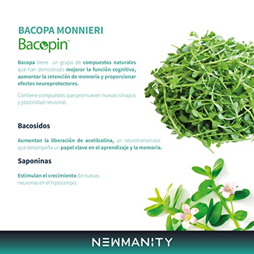 Productos Para La Memoria, Imagen adicional