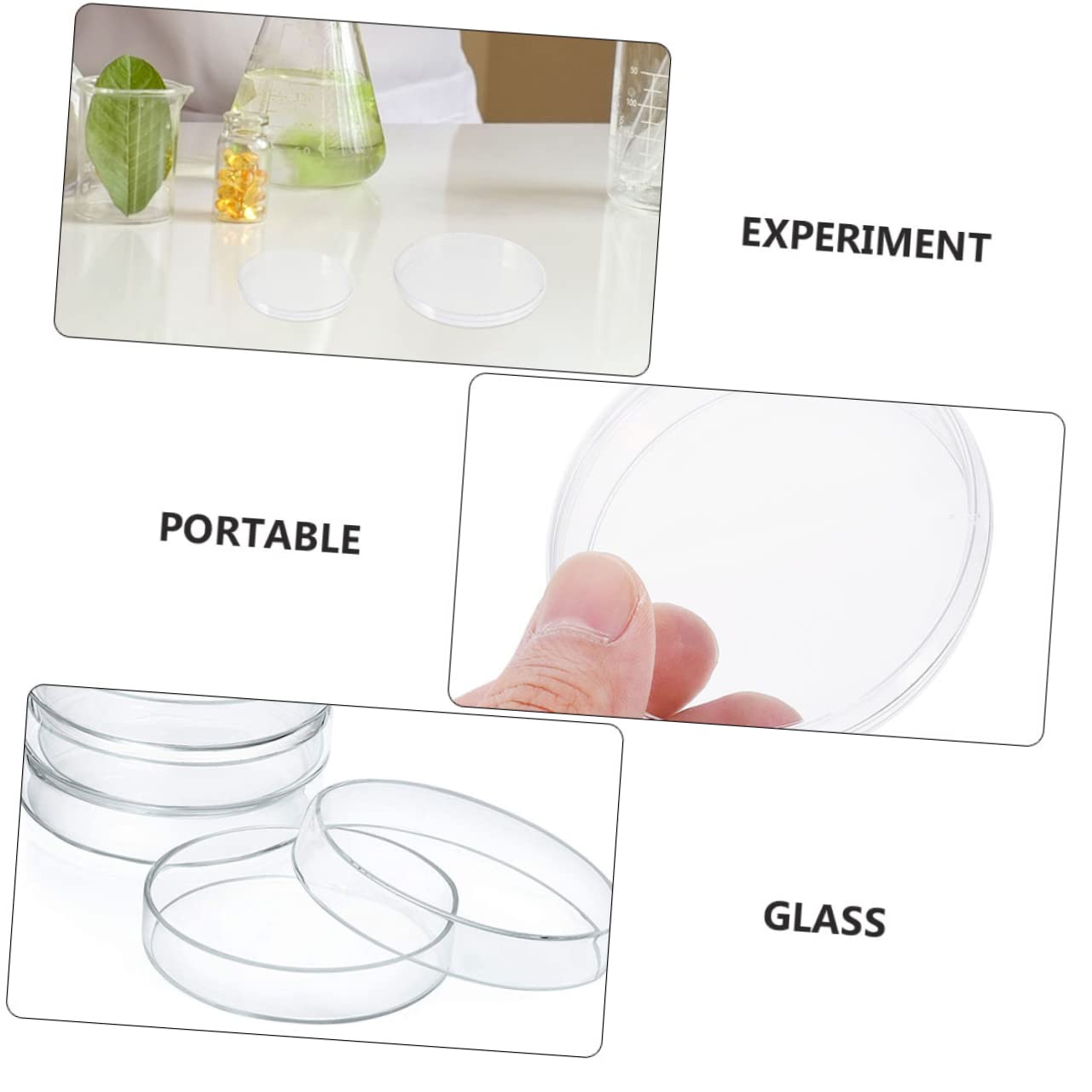 FUNOMOCYA 5er-Set Labor-Petrischalen Aus Glas – Durchsichtige, Runde Kulturschalen Mit Deckel – Bruchsicher Für Biologie, Chemie & Agar-Experimente – Leicht Zu Reinigen