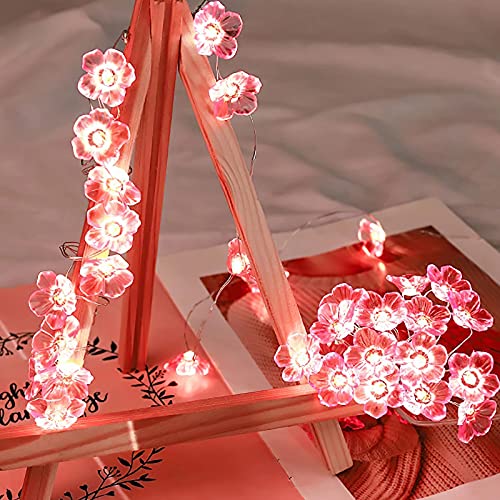 ALLOMN 2M Guirlande Lumineuse, Guirlande lumineuse en forme de fleur de cerisier - 20 LED - Fonctionnement à piles - Décoration pour chambre de fille - Intérieur ou extérieur Mariage et Saint Valentin