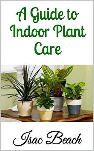 A Guide to Indoor Plant Care