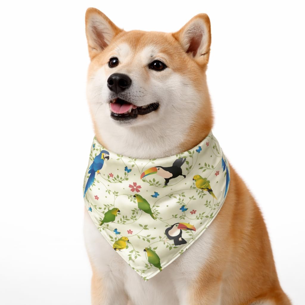 Ultra Premium Satin Dog Collar Bandana, an Ideal Accessory for Medium and Large Dogs. It Includes a Slip-on Bandana and an Adjustable Collar with a D-Ring. (Medium - Large, Toucan & Parrot)
