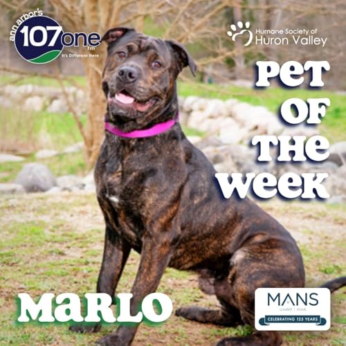 a2VV: HSHV Pet of the Week 5/14/26