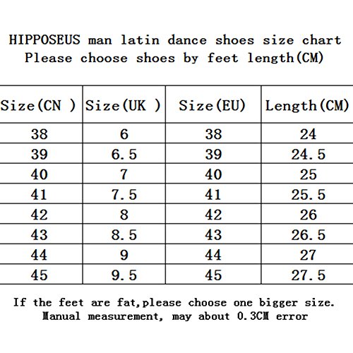 HIPPOSEUS Scarpe da Ballo Standard per Uomo con