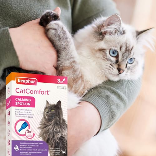 Beaphar CatComfort Calming Spot-On