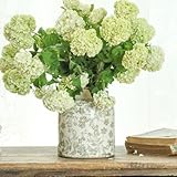 Ronasip Vintage Floral Chinoiserie Ceramic Vase, 6.2” Ice Cracked Hand-Painted Pastel Green Botanical Design, Antique Style Home Decor (Green, 6.2”)