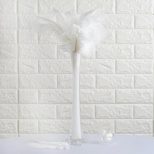 Balsa Circle 12 Pcs 13-15-Inch Long White Authentic Ostrich Feathers For Centerpieces Wedding Party Table Decorations #TOP2