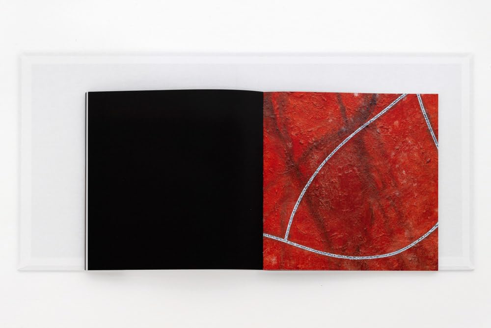 Donald Judd      Hardcover – August 13, 2024
