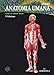 Anatomia Umana - 3