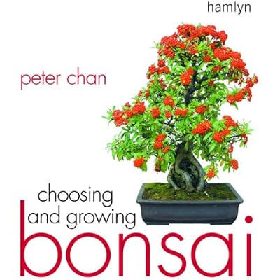Choosing & Growing Bonsai