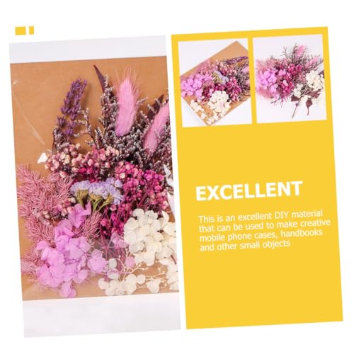 Kit de flores secas para manualidades DIY STOBAZA miniatura 6
