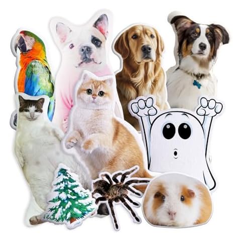 Coussin Photo Personnalisé VEELU Cover