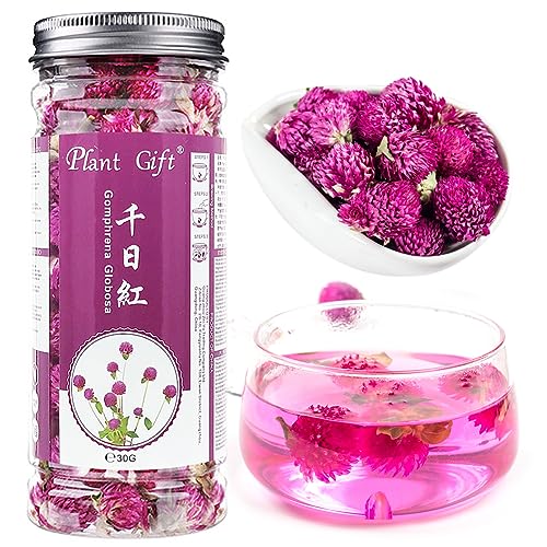 Plant Gift Dried Gomphrena globosa Flower, Natural Globe Amaranth Flower Blooming Flower Tea Natural Royal Scented Tea Gomphrena Rose Tea, Globe Amaranth, Edible Gomphrena Flower 30g/1.05oz