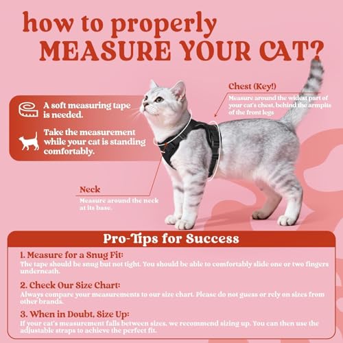 Image of rabbitgoo Cat Harness and Leash Set, Escape Proof Vest, Black