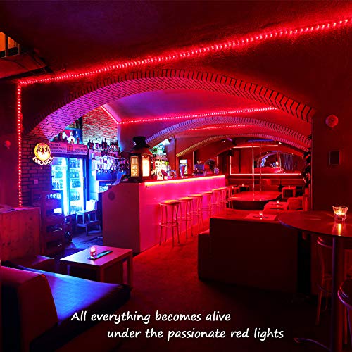 image for Areful Red LED Lights, 16ft Rope Lights, Flexible and Connectable Stri