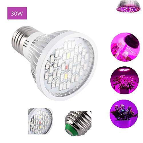 Best Led Grows