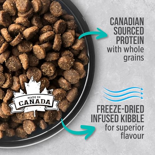 Nutrience Infusion Adult Indoor Cat Food Dry 5 kg (11 lbs), Canadian Chicken, Freeze-Dried Infused Kibble, Dry Cat Food, Nourriture Pour Chat, Manger Pour Chat image 2