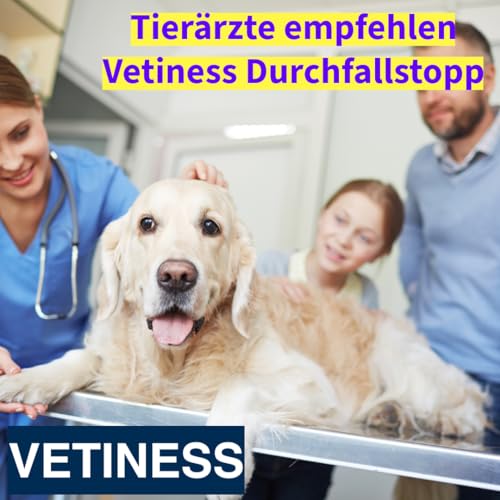 vetiness EnteroFit Durchfallstopp Paste für Hunde 15 ml – bei akutem Durchfall Hund und Darmstörungen – Diätergänzungsfuttermittel mit Aktivkohle, Bentonit und Probiotikum - Magen Darmflora Hund