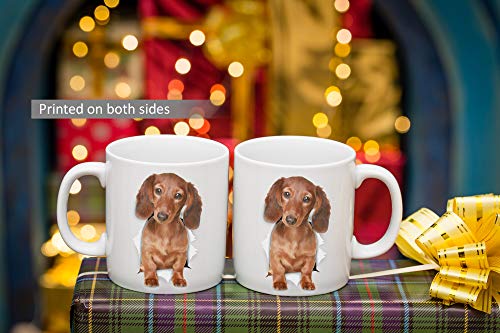 Funny Dachshund Mug - Ceramic Dachshund Coffee Mug - Perfect Dog Lover Gift - Cute Novelty Coffee Mug Present - Great Birthday Or Christmas Surprise For Friend Or Coworker, Men And Women (11Oz) #TOP5
