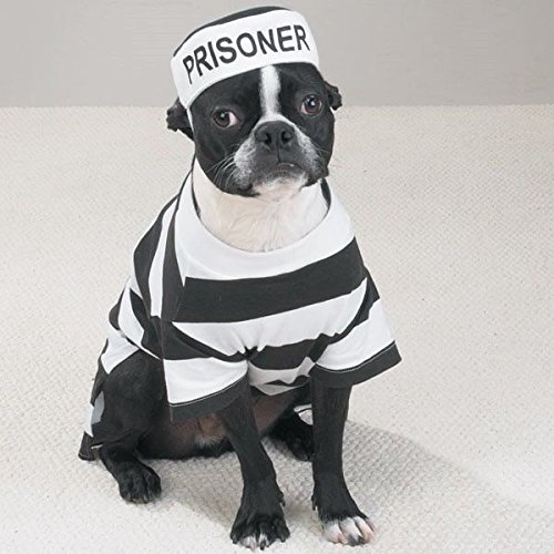 Disfraz Prisionero para Perros XSmall miniatura 5