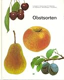  Obstsorten. Beschreibung und Wertung von Kern- und Steinobstsorten [Hardcover] A.Aeppli; U. Gremminger and M. Kellerhals