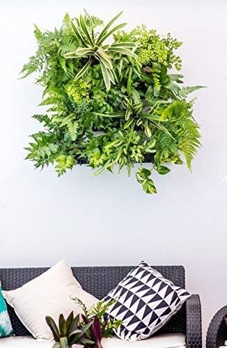 Miniatura 2 de Watex WX065 Picture Garden Starter Kit macetas sin BPA