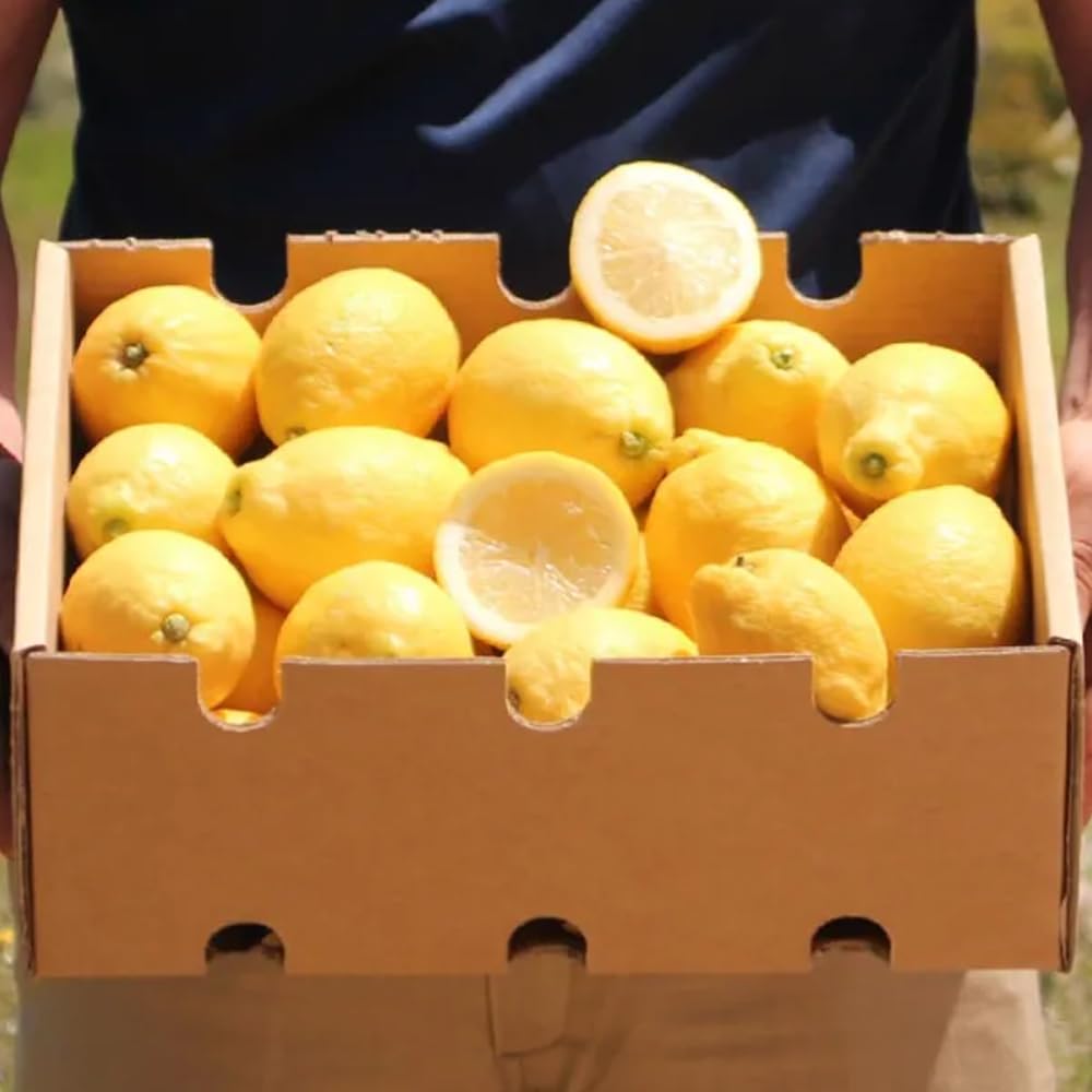 Scatola di limoni | Comprare limoni diretti dall'agricoltore, coltivati a Castellon, appena raccolti, freschi, succosi e senza sostanze chimiche (4 Kg)
