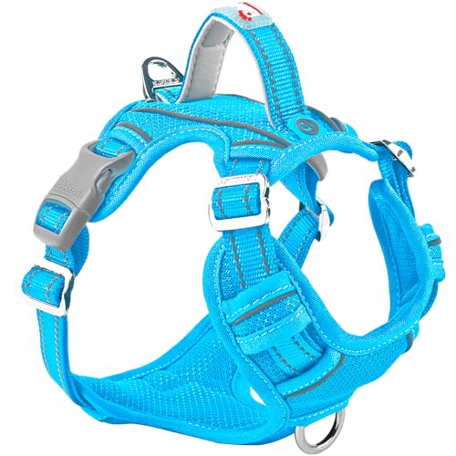 BARKBAY Hundegeschirr, kein Ziehen, mit Tasche f?r ID-Tag, strapazierf?hig, reflektierend, einfache Kontrolle f?r gro?e Hunde, B