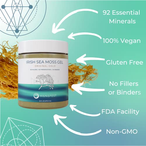 Manafest Original Gold Sea Moss Gel - Wildcrafted Sea Moss, Organic Irish Sea Moss Gel, All Natural Ingredients - Superfood Supplement for Smoothies, Seamoss Gel Immune Boost - 16-oz. Jar - Thumbnail 2