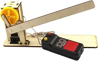 DIY Wooden Gate Model Kit - Physics Learning Educational Toy for Kids (7.5 inch)