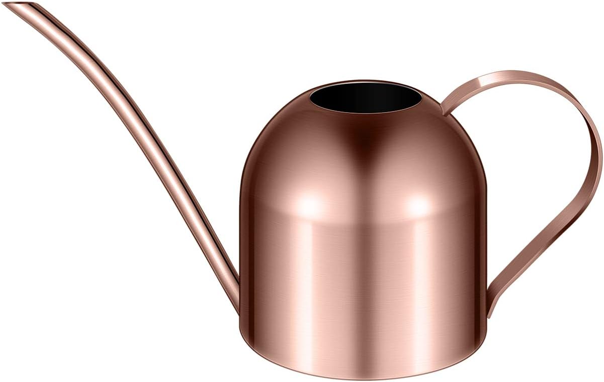 Yardwe 1000ml Stainless Steel Watering can for Indoor Plants, Long Spout Watering Pot for Garden Home Office, Rose Gold
