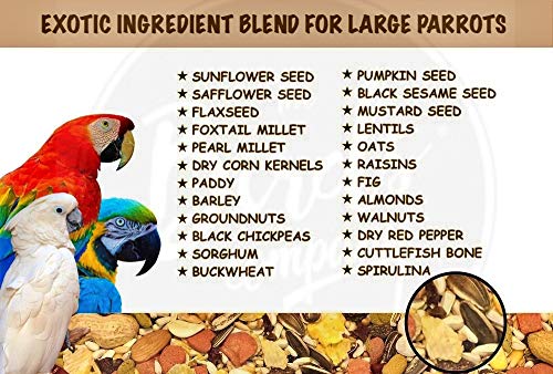 Image of The Birds Company Exotic Seed Blend of 20 Grains & Exotic Nuts, Fortified with Spirulina, Bird Food for Large Parrots, Amazon, Macaw, Cockatoo, 450 g