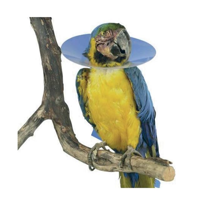 Collar de pájaro Buster pequeño de 100 mm de diámetro Aprox