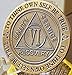 6 Year AA Medallion Trust God Clean House Help Others Sobriety Chip