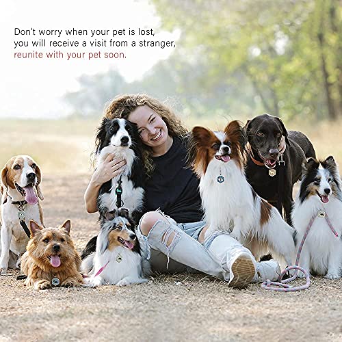 Kekid Dog Tags Personalized For Pets Custom Dog Tags Dog Name Tag Qr Code Pet Tags Engraved Pet Id Tags Personalized Anti-Lost Pet Page Modifiable Exclusive | Specially For French Bulldog #TOP2