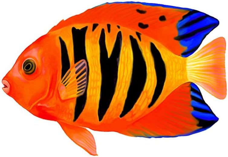 Flame Angelfish Porcelain Swimming Pool Mosaic (5" x 3")