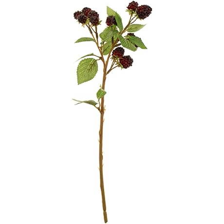 Floristrywarehouse Black Floral Spray