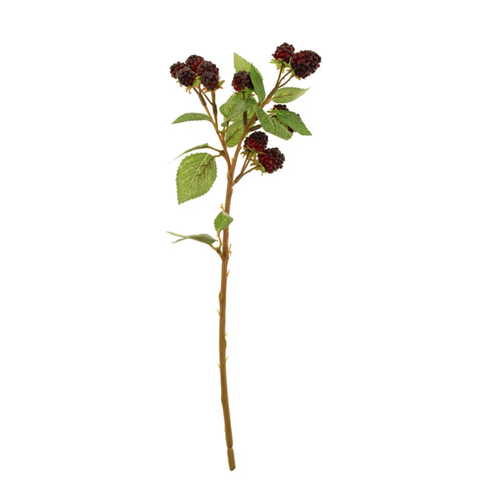 Floristrywarehouse Black Artificial Autumn Raspberry Spray 39Cm