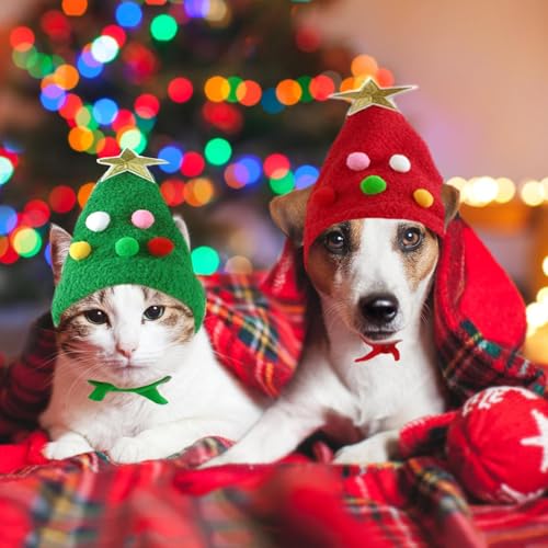Haustier Weihnachtsmütze, Weihnachtskostüm Haustier Hund Katze, Niedlicher Plüsch Katzen Weihnachtsmütze mit Pompon, Weihnachtskostüm Hund, Perfekt Zum Verkleiden Von Haustieren zu Weihnachten (Grün)