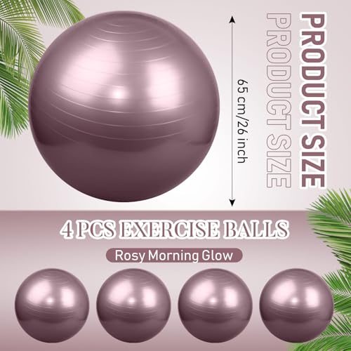 Image of Leyndo 4 Pcs 26 Inch Yoga Exercise Ball Pilates Pregnancy Birthing Fitness Ball with Quick Pump Anti Burst for Improved Posture, Balance, Yoga, Pilates, Training