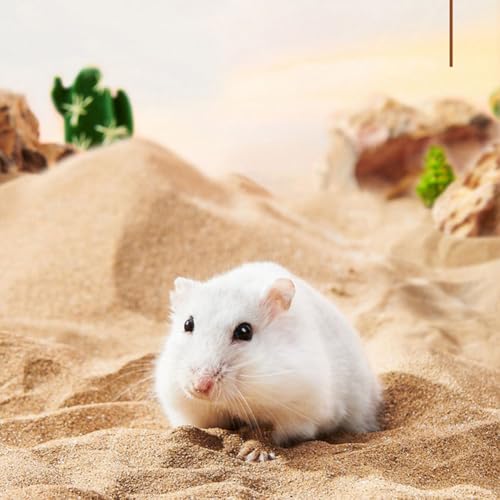 Sable du désert hamster chinchilla gerbille souris 1kg