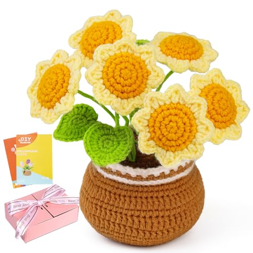 ENCHOL Crochet Kit for Beginners Complete Crochet Kits-Flower Bouquet Potted, Crochet Potted Flowers