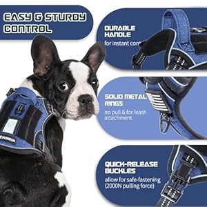 Bumbin tactical dog harness for small dogs no pull famous tik tok no pull puppy harness fit smart reflective pet walking harness for training adjustable dog vest harness with handle denim blue s   cucciolini doodles