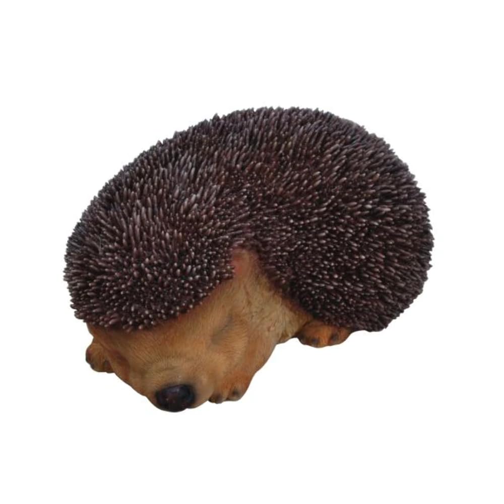 Vivid Arts Sleeping Baby Hedgehog Real Life Ornament