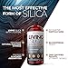Orgono Living Silica Sports Recovery | Vegan Collagen Booster | Silica-Based | Pre & Post Workout Supplement | Supports Joint Recovery, Tendon & Cartilage Health, Energy & Endurance | 33.8 Fl Oz